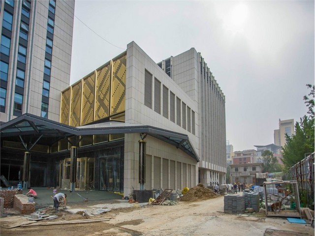 湖北定制羊肚菌烘干机