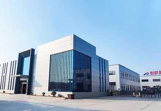 崇明区猫咪定制选购哪家好